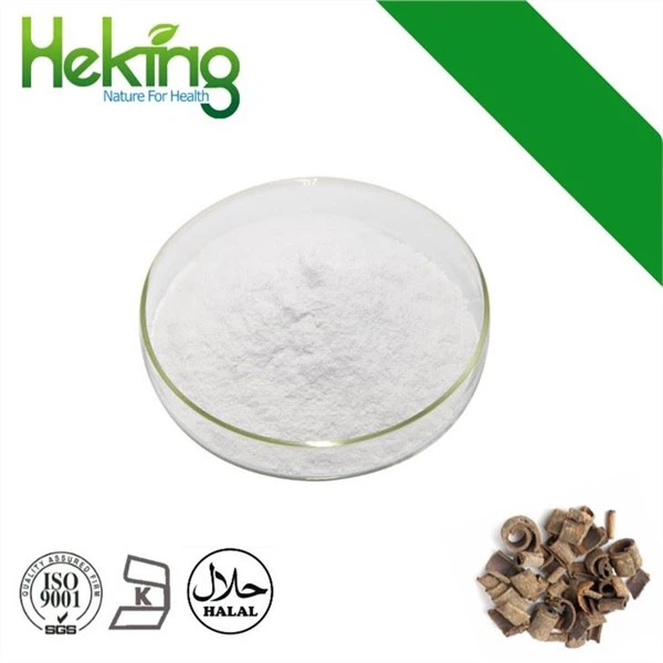 Magnolia Officinalis निकालें